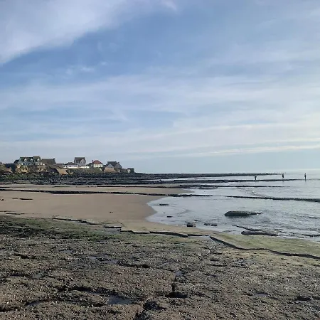 Maison Cleopatre 4 Minutes A Pied De La 3 Veranda Jardin Parking Prive Wimereux